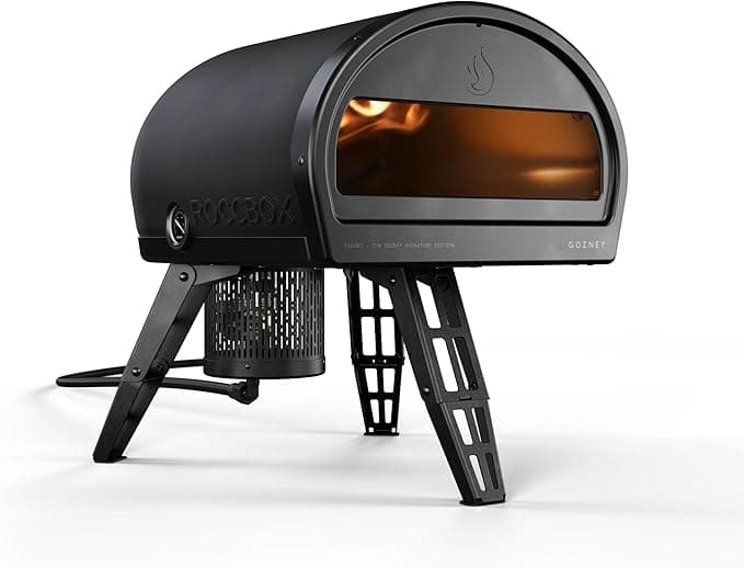 Best Pizza Ovens 2026